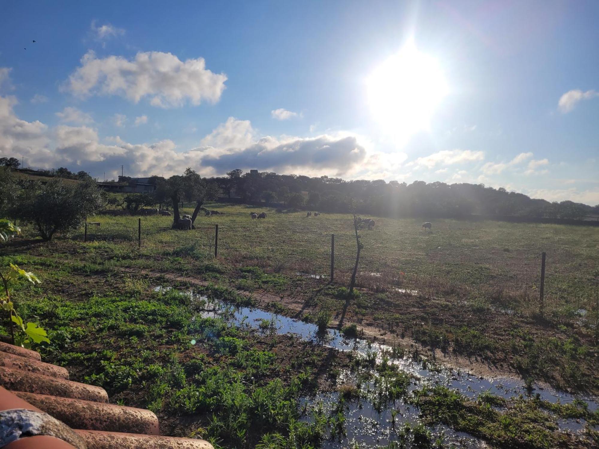 Complejo Rural El Soldado Villa Villanueva del Duque Exteriör bild