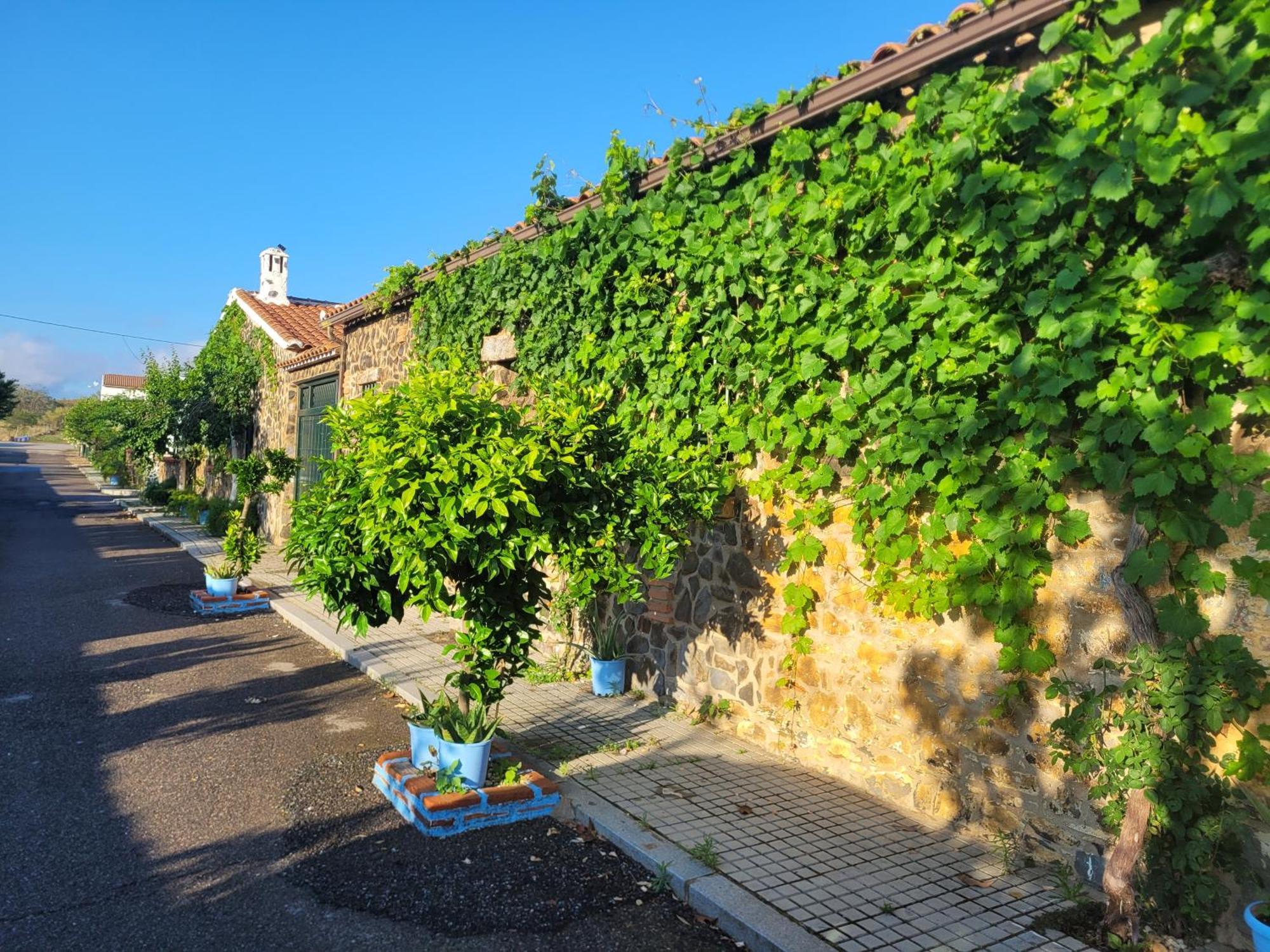 Complejo Rural El Soldado Villa Villanueva del Duque Exteriör bild