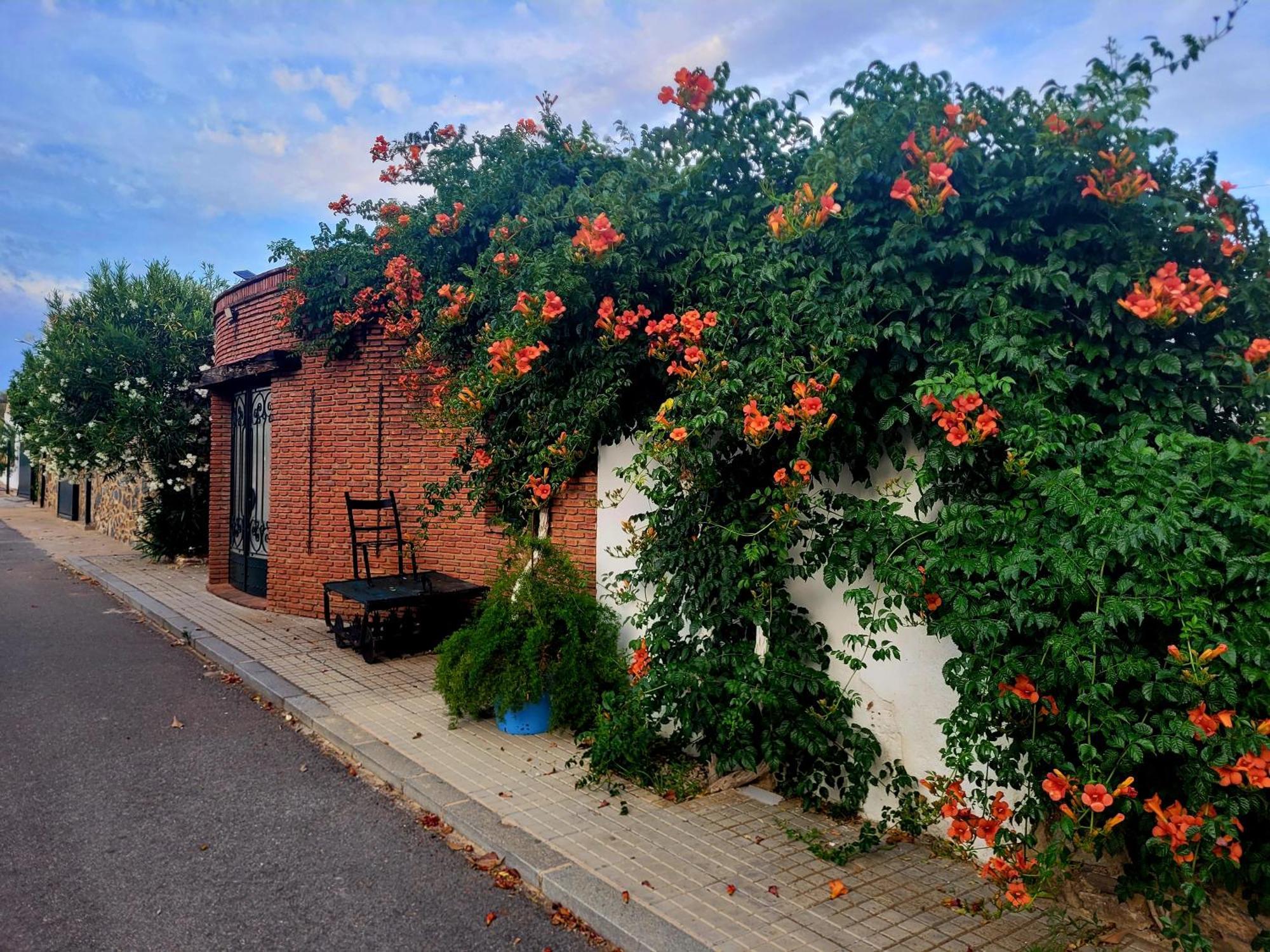 Complejo Rural El Soldado Villa Villanueva del Duque Exteriör bild